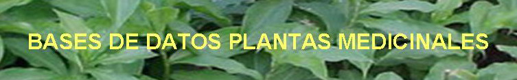 Bases de datos plantas medicinales