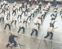 tai chi chuan