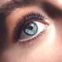 Los Ojos