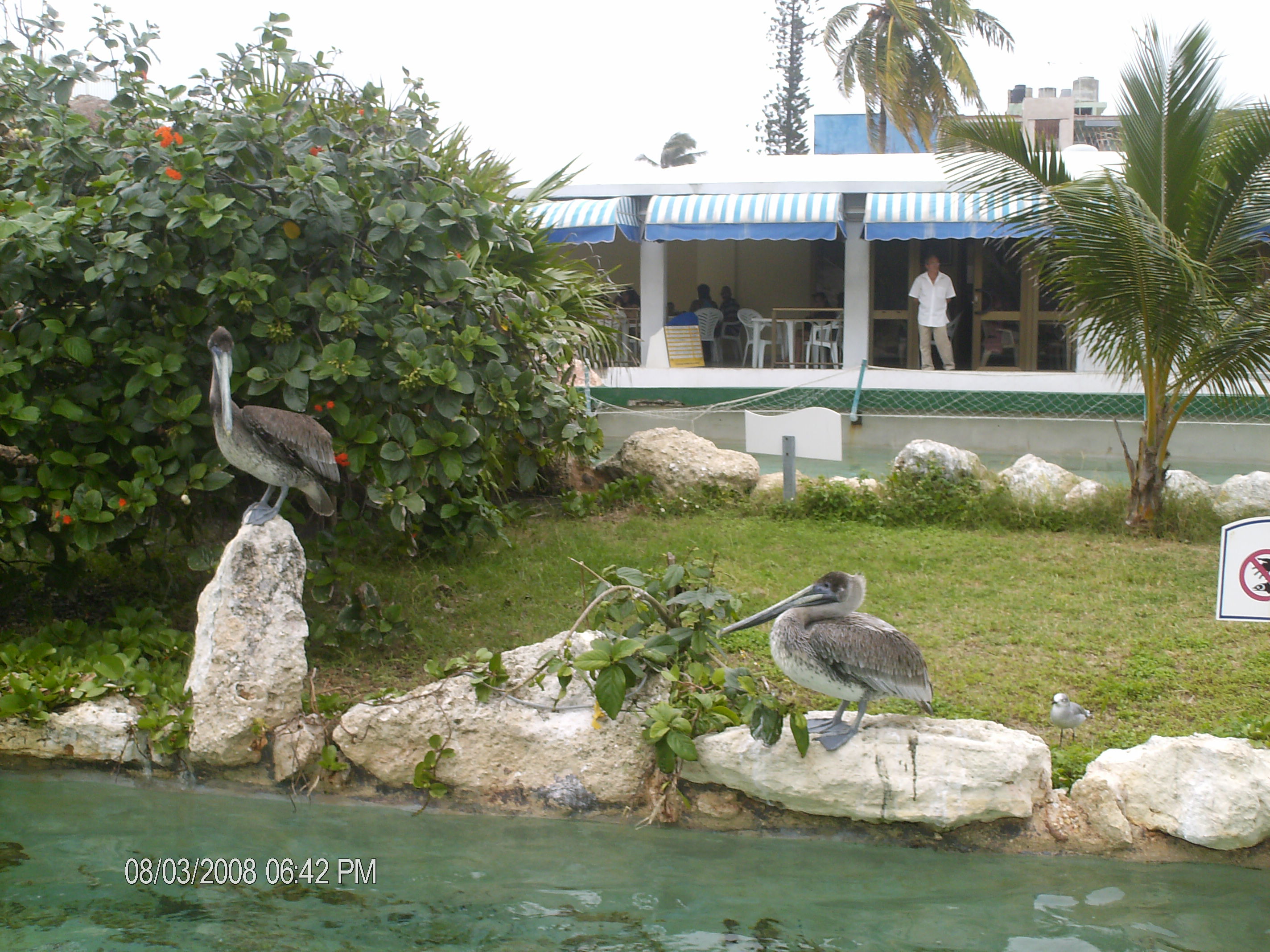 Acuario