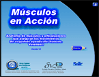 Msculos en Accin