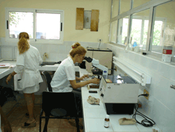 Laboratorio clnico