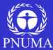 Logo PNUMA 2004