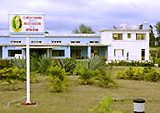 Centro para la Investigacin y Rehabilitacin de las Ataxias Hereditarias, de Holgun 