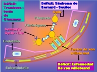 Adhesin plaquetaria