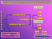 Papel de la vitamina K en a coagulacin