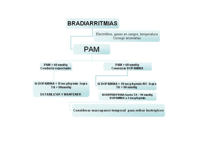 Algoritmo bradicardia