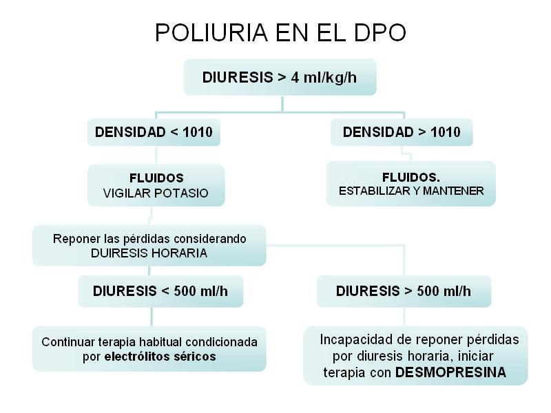 Algoritmo Poliuria