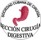 Logotipo Seccin Ciruga Digestiva