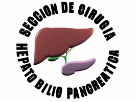 Logo Seccin de Ciruga Hepatobilopancreatica