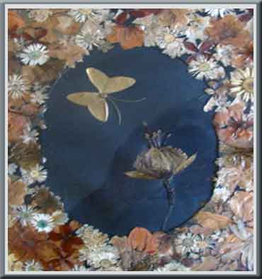 Mariposa y Flor.