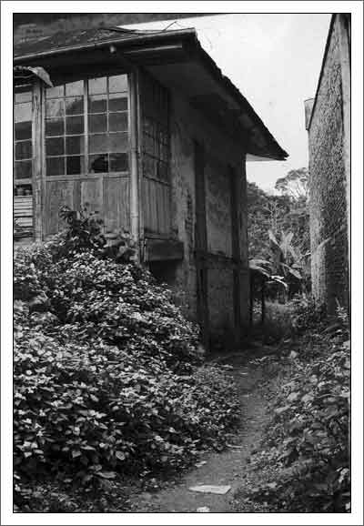 ”Cachipay 31”