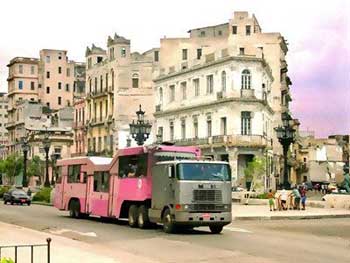 Camello Rosado paseando por el Prado