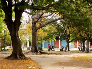 El Parque y la Primavera